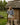 Woman standing outside in a farm area wearing a striped sweater and white skirt, paired with black cowboy boots.