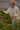 Woman wearing a cream sweater while picking vegetables outdoors.