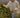 Woman wearing a cream sweater while picking vegetables outdoors.