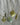 Fish Milagro Necklace - Silver