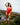 High Dive One-Piece