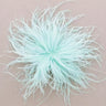 A light mint green feather embellishment with delicate wispy strands, displayed against a solid dusty pink background.