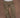 Shan Pant