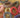 Chex Mix Stripe Elastic