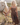 Woman in a brown outfit leading a white horse in a field.