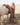Woman in a brown outfit standing next to a white horse in a field.