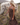 Woman in a brown dress standing next to a white horse in an open field.