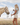 Woman feeding a horse in an open field with a clear sky