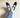 Cobalt Flats