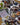 Collage of various photos and printed materials on a surface