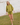 Woman wearing a green knit matching sweater and shorts set standing outdoors with a white wooden structure in the background.