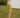 Woman in a green outfit standing on grass with trees and a white building in the background