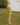 Woman in a green outfit standing on grass with trees and a white building in the background