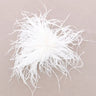 A white feather embellishment with delicate, wispy plumes, photographed from above on a solid light taupe background.