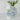 Bottle of Nellie's Wrinkle-B-Gone with Antistatic in front of a vase with white tulips.