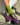 Sneaker Socks - Matcha