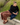 A woman sits on a concrete curb outdoors on a grassy lawn, wearing a black quarter-sleeve top, brown plaid wide-leg pants, and brown leather tassel loafers. A folded blue denim jacket rests beside her.