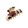 Tortoiseshell hair clip on a white background