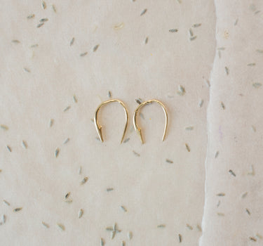 Small Hook Poke Earrings