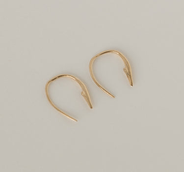 Small Hook Poke Earrings
